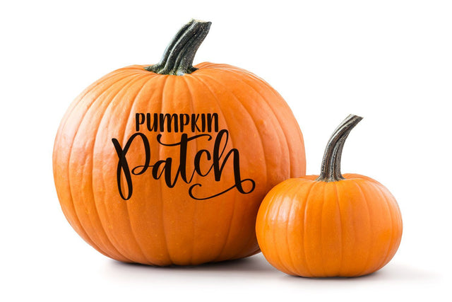 Pumpkin Patch Hand Lettered Cut File Exclusively on So Fontsy SVG Cursive by Camille 