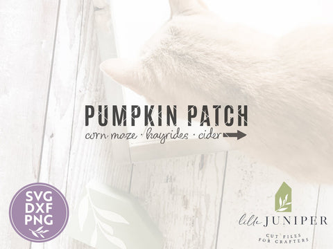 Pumpkin Patch SVG | Fall SVG | Farmhouse Sign Design SVG LilleJuniper 