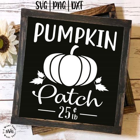 Pumpkin Patch SVG I Want That SVG 