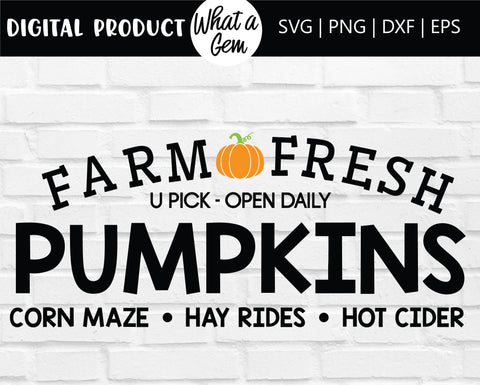 Pumpkin Patch SVG | Pumpkin SVG | Fall SVG | Autumn svg | Fall Welcome Sign | Hello Fall svg | Thanksgiving svg | Fall Sign svg | Farmhouse SVG What A Gem SVG 