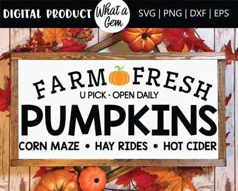 Pumpkin Patch SVG | Pumpkin SVG | Fall SVG | Autumn svg | Fall Welcome Sign | Hello Fall svg | Thanksgiving svg | Fall Sign svg | Farmhouse SVG What A Gem SVG 