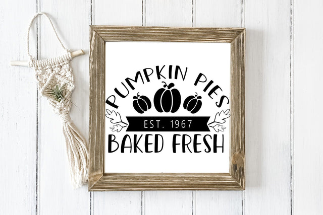 Pumpkin Pies Baked Fresh SVG SVG dapiyupi store 
