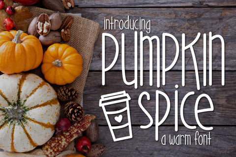 Pumpkin Spice Font Kitaleigh 