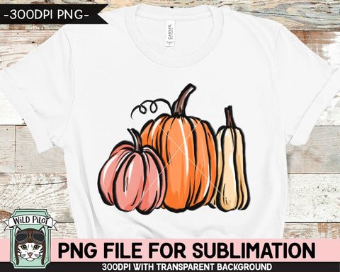 Pumpkin SUBLIMATION design PNG, Pumpkin png file, Pumpkin sublimation designs, Fall PNG, Autumn PNG, Halloween PNG, Thanksgiving PNG, Pink Pumpkin PNG, Gourd PNG Sublimation Wild Pilot 