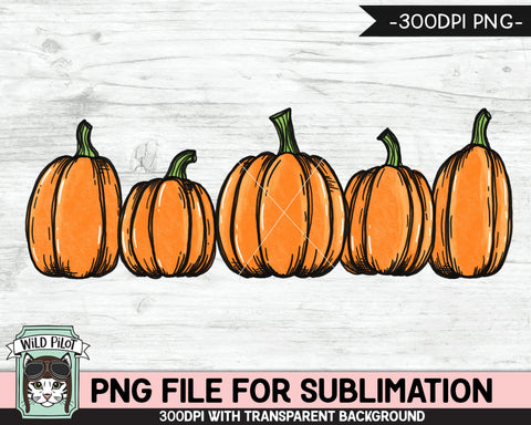 Pumpkin SUBLIMATION design PNG, Pumpkin png file, Pumpkin sublimation designs, Fall png, Autumn png, Halloween png, Thanksgiving png, Row of Pumpkins png Sublimation Wild Pilot 