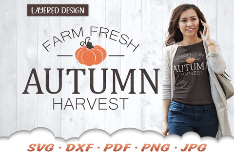Pumpkin SVG | Autumn Harvest SVG | Farmhouse Fall SVG SVG Cloud9Design 
