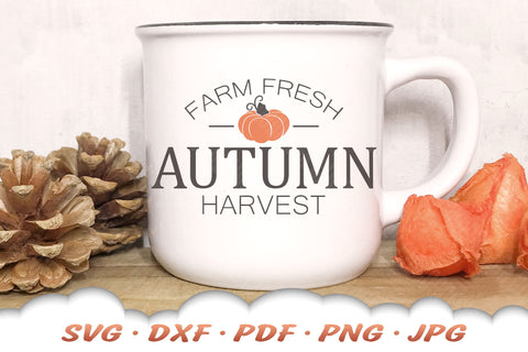 Pumpkin SVG | Autumn Harvest SVG | Farmhouse Fall SVG SVG Cloud9Design 