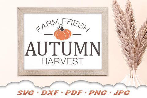 Pumpkin SVG | Autumn Harvest SVG | Farmhouse Fall SVG SVG Cloud9Design 