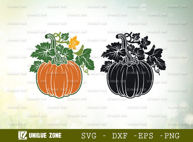 Pumpkin SVG Cut File, Autumn Fall Svg, Thanksgiving Svg, Halloween Svg, Half Pumpkin Svg, Fall Pumpkin SVG Unique Zone 