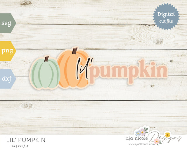 Pumpkin SVG cut file SVG Aja Nicole Designs 