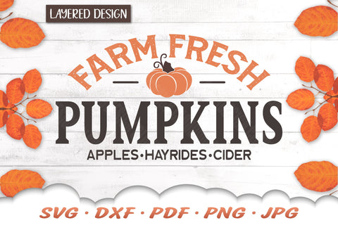 Pumpkin SVG | Farmhouse Fall SVG Files SVG Cloud9Design 