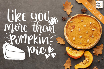 Pumpkin SVG Like You More Tan Pumpkin Pie Quotes SVG dapiyupi store 