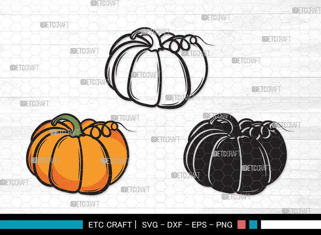 Pumpkin SVG | Pumpkins Svg | Autumn Fall Svg | Thanksgiving Svg | Halloween Svg | Pumpkin Clipart SVG ETC Craft 