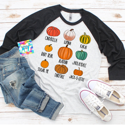 Pumpkin Varieties Fall Sublimation PNG Sublimation Twiggy Smalls Crafts 