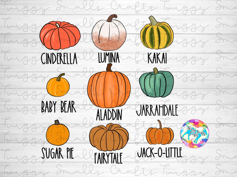 Pumpkin Varieties Fall Sublimation PNG Sublimation Twiggy Smalls Crafts 