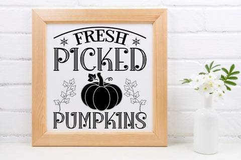 Pumpkin Vintage SVG Bundle SVG DESIGNISTIC 