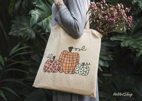 Pumpkins svg SVG _HelArtShop_ 