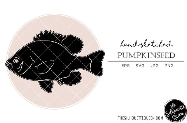 Pumpkinseed Hand sketched, hand drawn vector clipart SVG Loveleen Kaur 