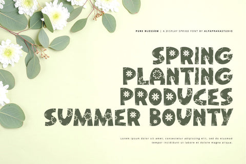 Pure Blossom - Decorative Display Font Font Alpaprana Studio 