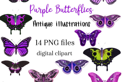 Purple Vintage Butterfly Clipart, Antique illustrations Sublimation Natasha Prando 
