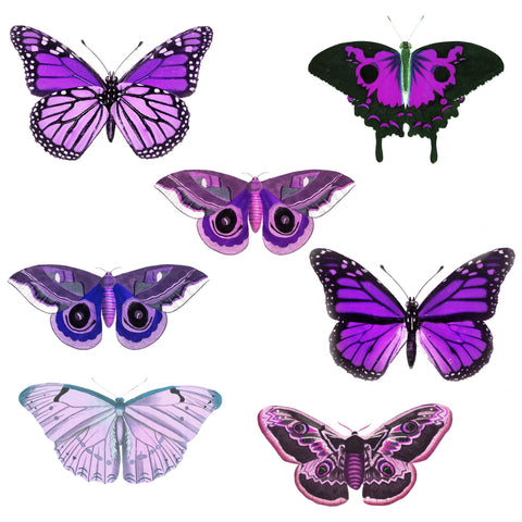 Purple Vintage Butterfly Clipart, Antique illustrations Sublimation Natasha Prando 