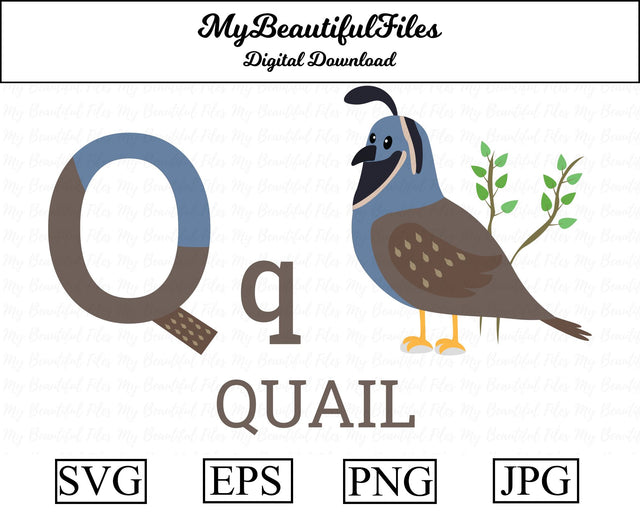 q-quail SVG MyBeautifulFiles 