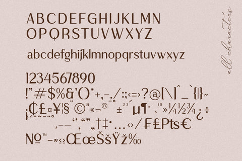 Qafinte Typeface Font Storytype Studio 