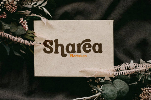 Qairen Typeface Font Storytype Studio 