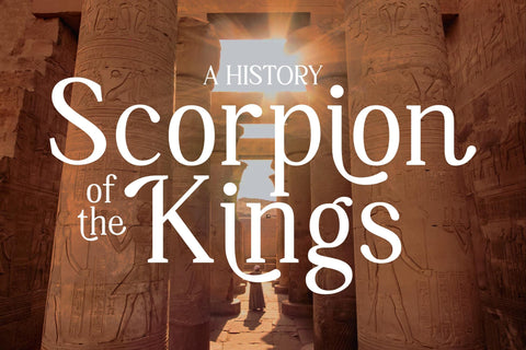 Qamilion Typeface Font Storytype Studio 