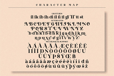 Qandile Typeface Font Storytype Studio 