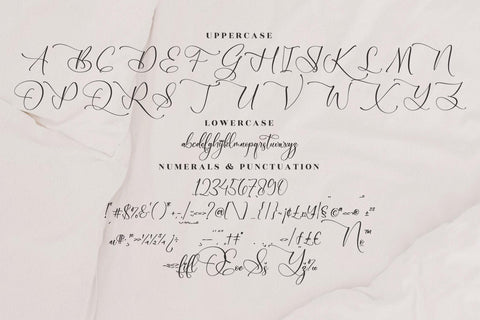 Qardesha Simphonyta Font Storytype Studio 