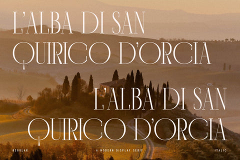 Qartech Typeface Font Storytype Studio 