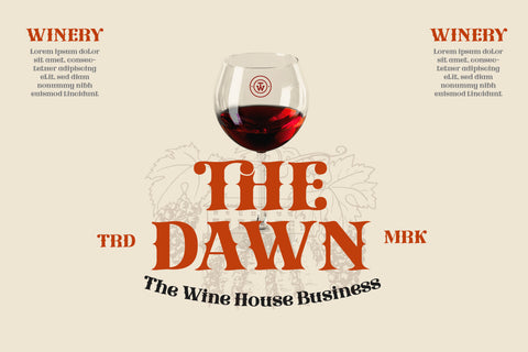 Qedhenif – Serif Classic Modernism Font Font twinletter 