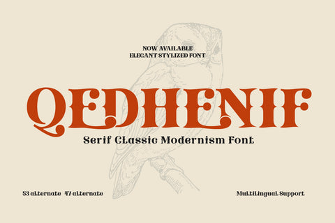 Qedhenif – Serif Classic Modernism Font Font twinletter 