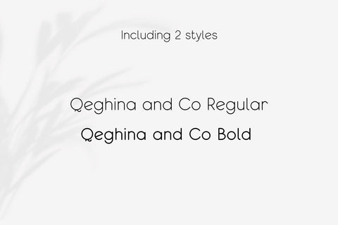 Qeghina and Co Font Cotton White Studio 