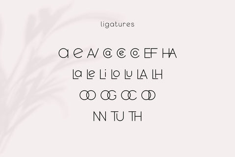 Qeghina and Co Font Cotton White Studio 