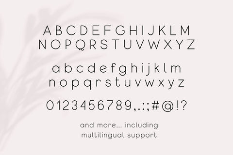 Qeghina and Co Font Cotton White Studio 