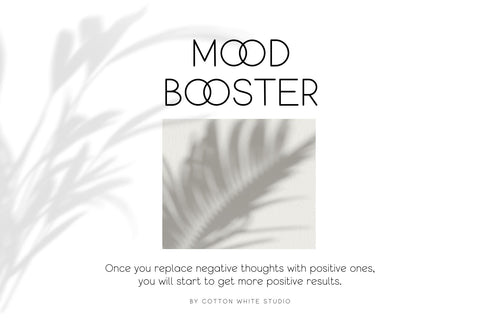 Qeghina and Co Font Cotton White Studio 