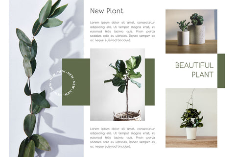 Qeghina and Co Font Cotton White Studio 