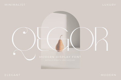 Qegor Typeface Font Storytype Studio 