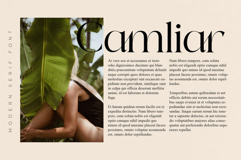 Qeilab Typeface Font Storytype Studio 