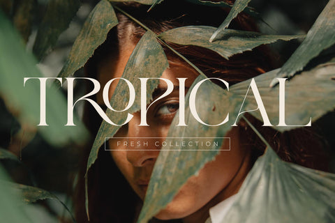 Qeilab Typeface Font Storytype Studio 