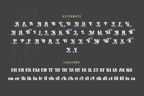 Qekruz | Serif Classic Modernism Font twinletter 