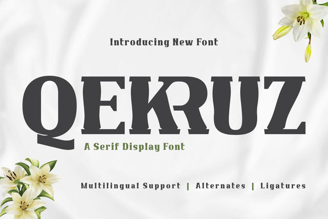 Qekruz | Serif Classic Modernism Font twinletter 