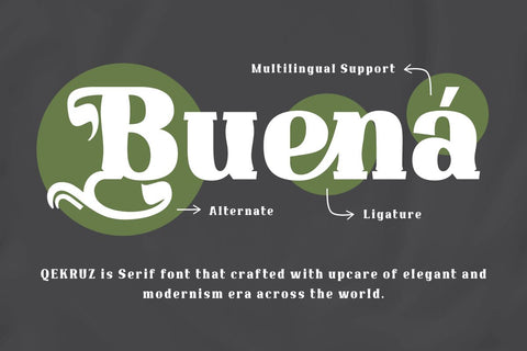 Qekruz | Serif Classic Modernism Font twinletter 