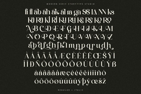 Qelrage Typeface Font Storytype Studio 