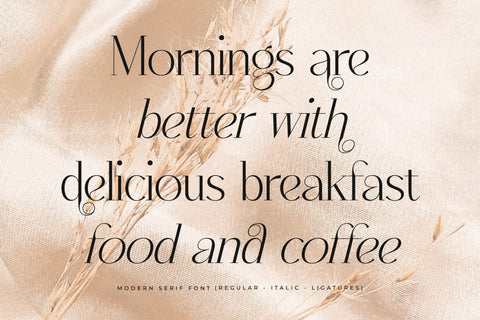 Qenliago Typeface Font Storytype Studio 