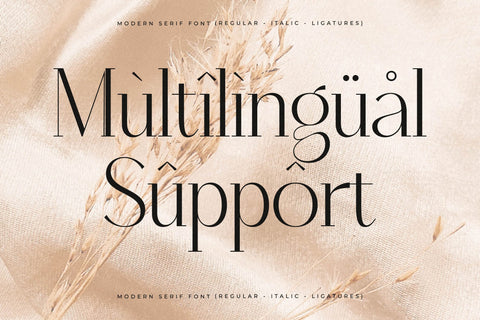 Qenliago Typeface Font Storytype Studio 