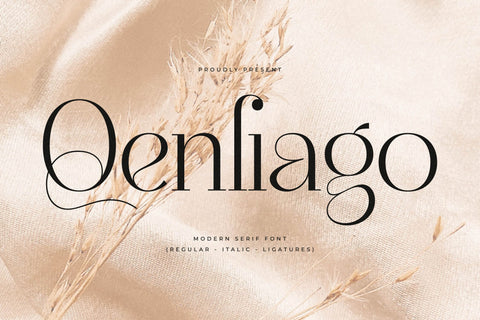 Qenliago Typeface Font Storytype Studio 