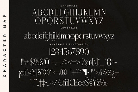 Qenliago Typeface Font Storytype Studio 